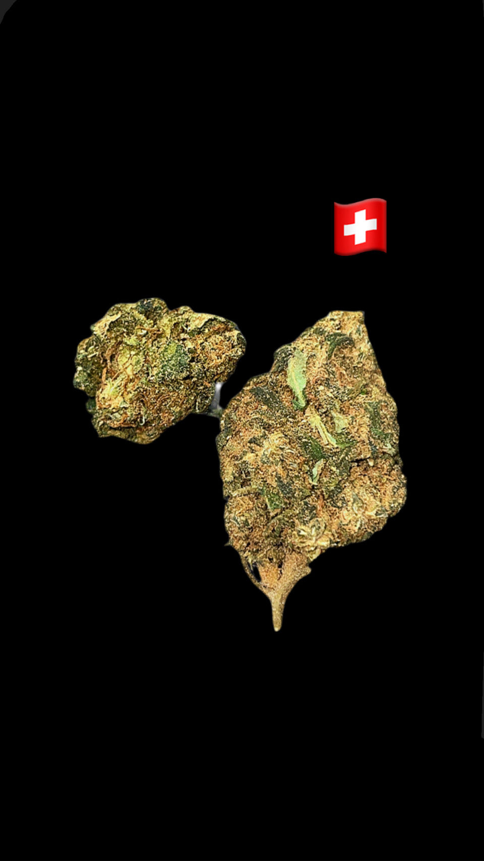 Pop star-CBD17%-THC0.2%-GreenHouse-HempTea HempStash