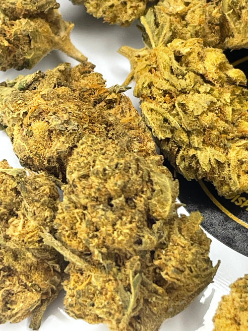 OLD SCHOOL SKUNK | CBD Flower Tea | GreenHouse | 23% HempStash