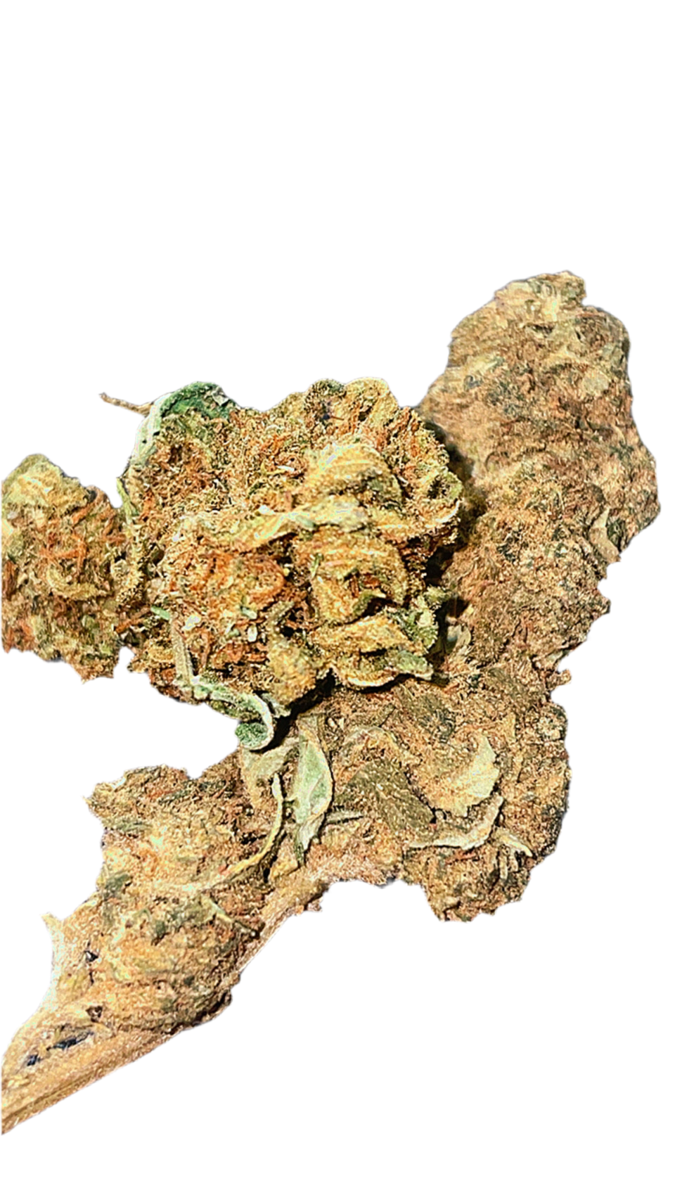Pop star-CBD17%-THC0.2%-GreenHouse-HempTea HempStash