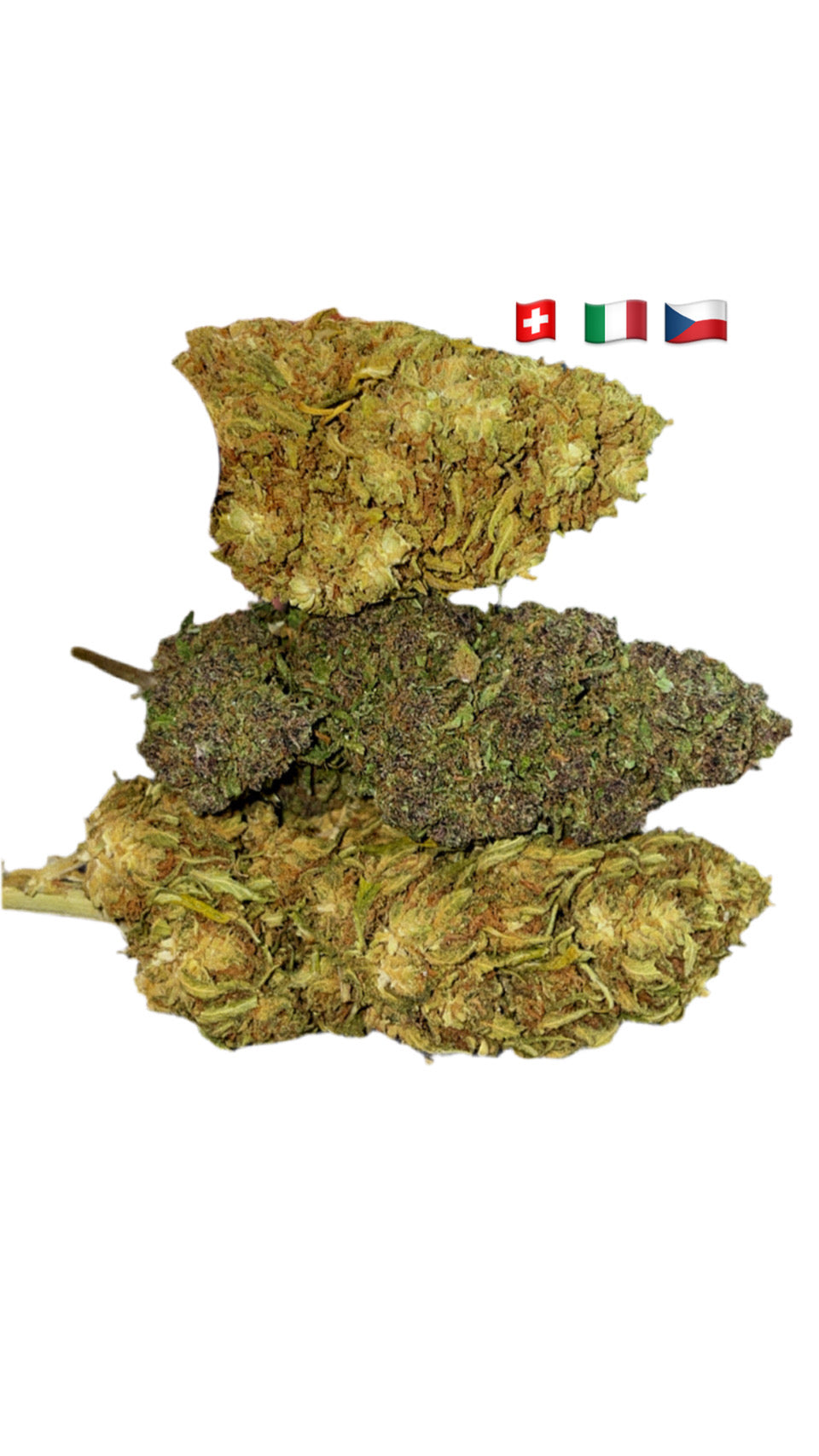 CBD Stash Bundle- 🧞  🍊  🐻 HempStash