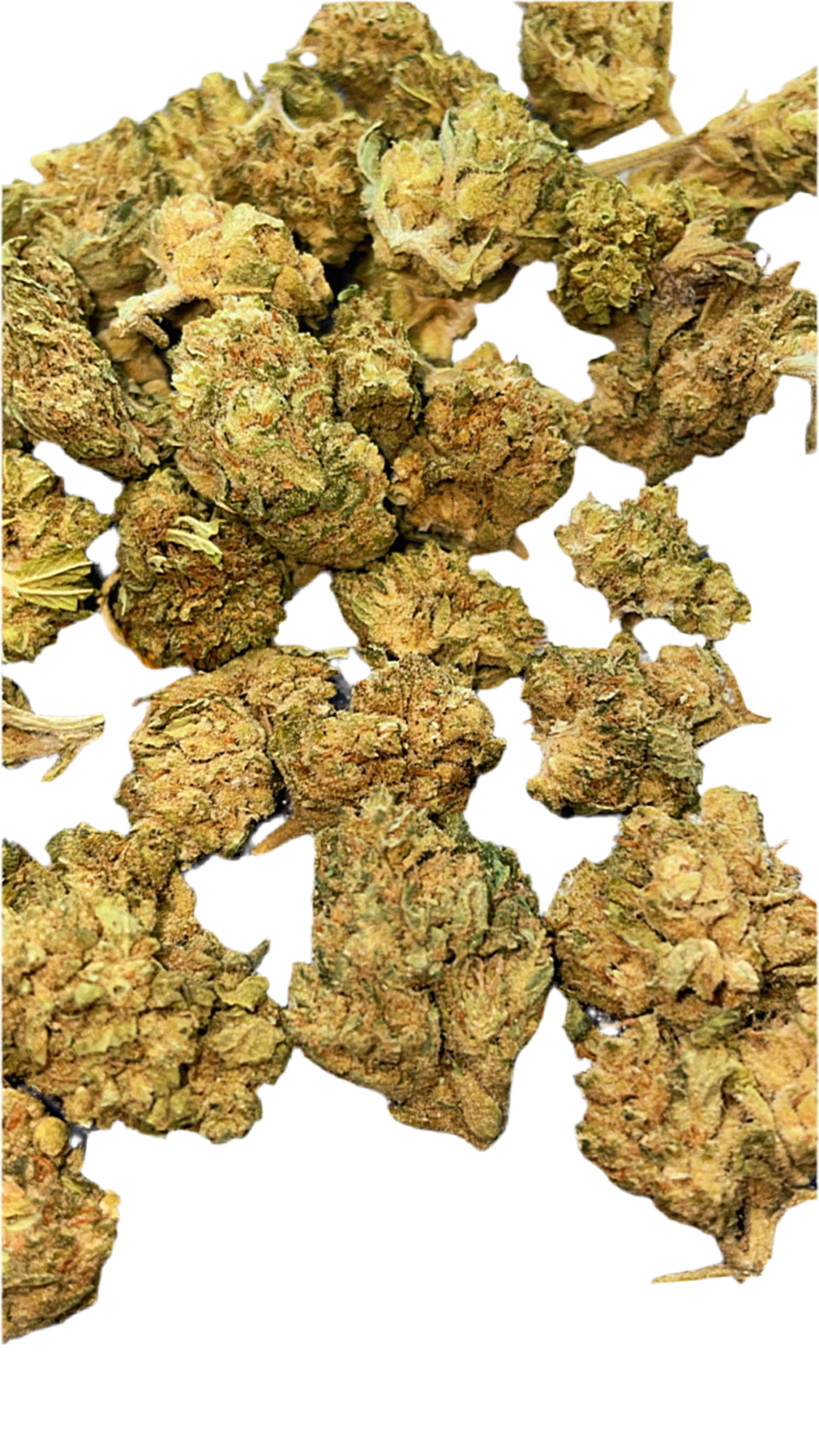OLD SCHOOL OG Skunk CBD23%/THC0.2%-GreenHouse-HempTea HempStash