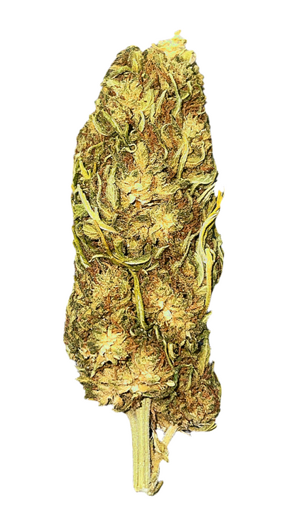 CBG ORANGE BUD-CBG10%-THC0.2%Indoor-HempTea