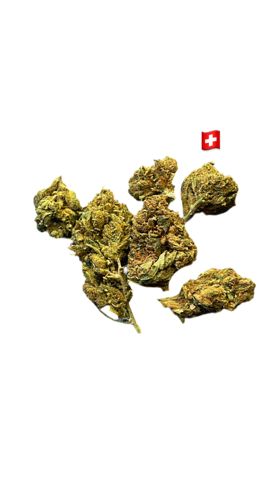 Lemon pop-15%CBD-THC0.2%-GreenHouse-HempTea HempStash