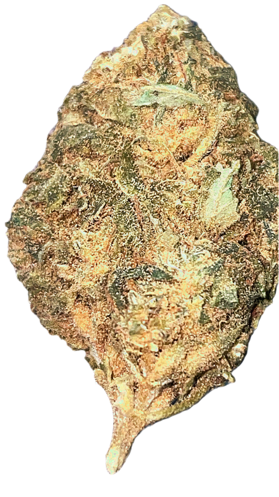 Pop star-CBD17%-THC0.2%-GreenHouse-HempTea HempStash