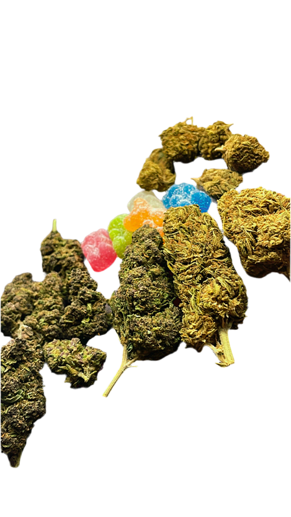 CBD Stash Bundle- 🧞  🍊  🐻 HempStash