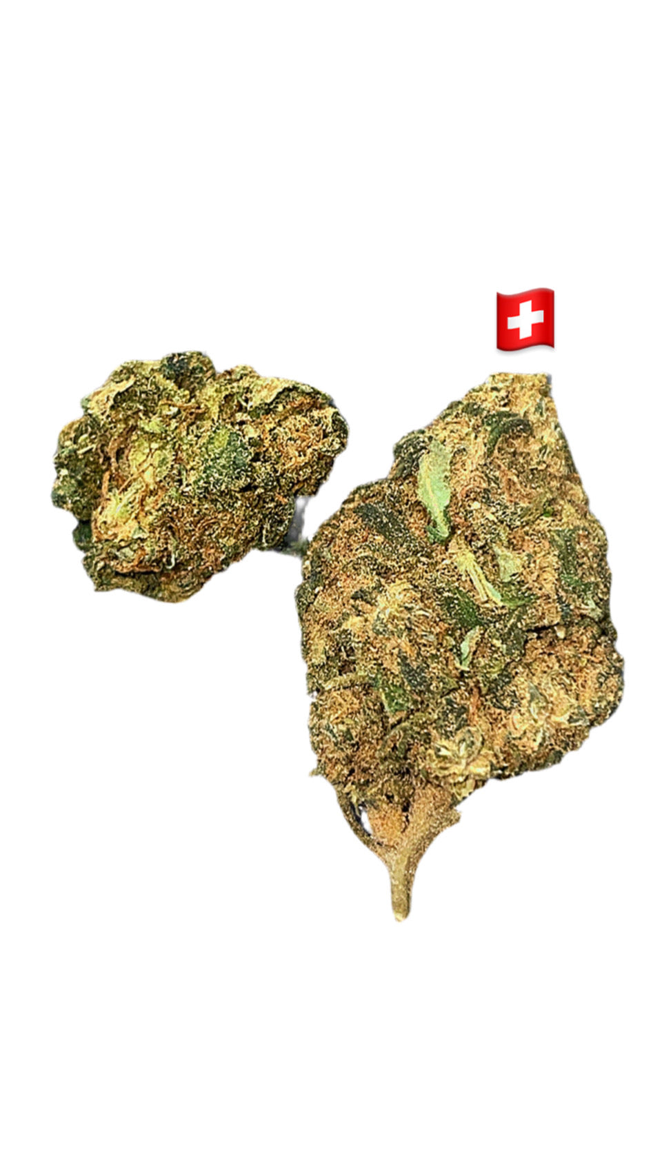 Pop star-CBD17%-THC0.2%-GreenHouse-HempTea HempStash