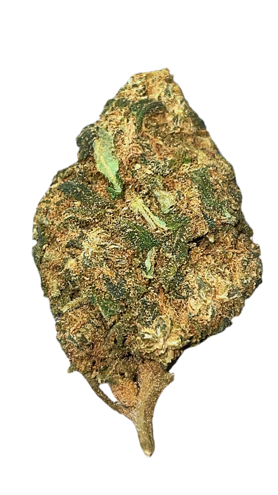 Pop star-CBD17%-THC0.2%-GreenHouse-HempTea HempStash